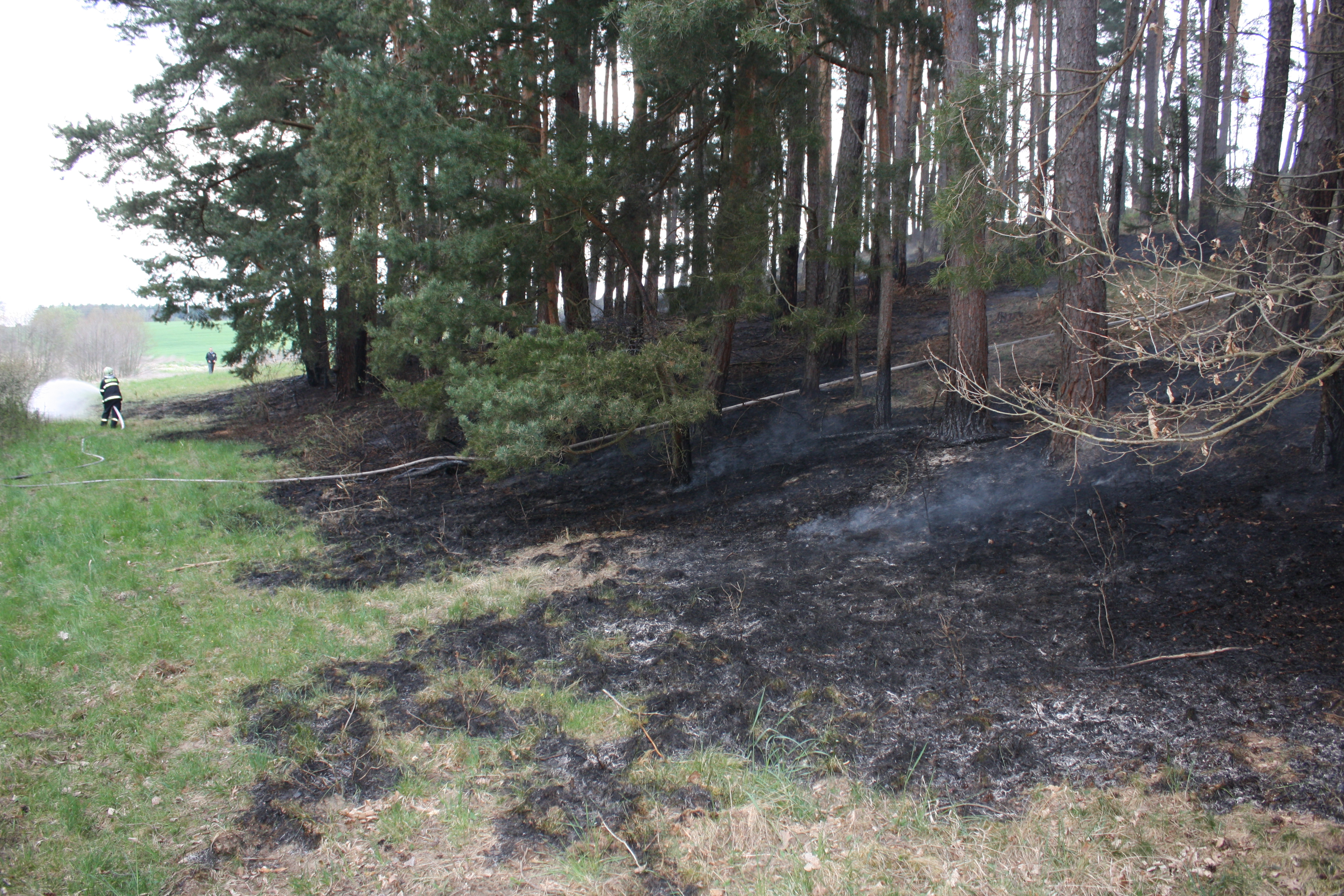 5 Požár lesa, Hněvkovice - 21. 4. 2014 (1).JPG