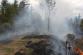 5 Požár lesa, Libějovické Svobodné Hory - 29. 9. 2015 (2)