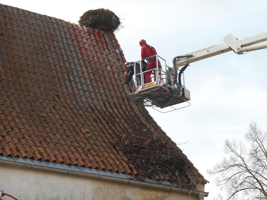 5 Záchrana čapích vajec, Dubné - 11. 4. 2015 (3).JPG