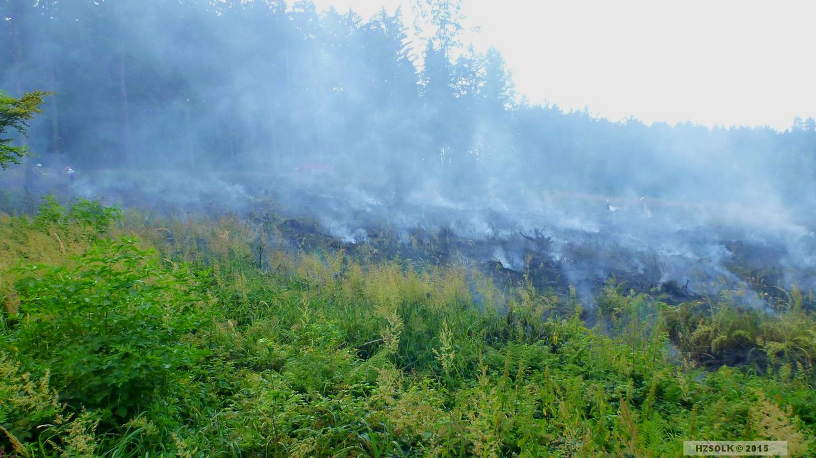7 16-6-2015 Požár lesní porost Dlouhomilov (7).JPG