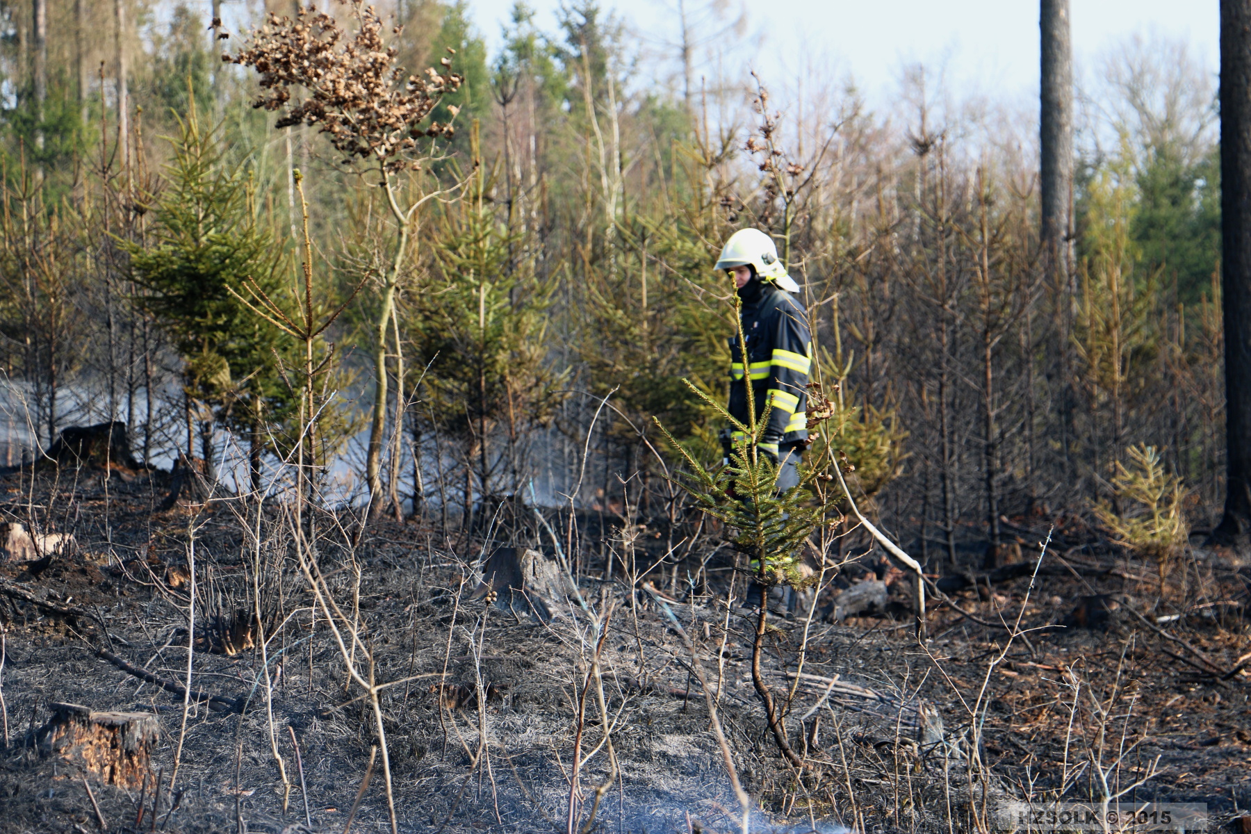 7 P_LP_24-3-2015 Požár lesa Přerov Penčice (15).JPG