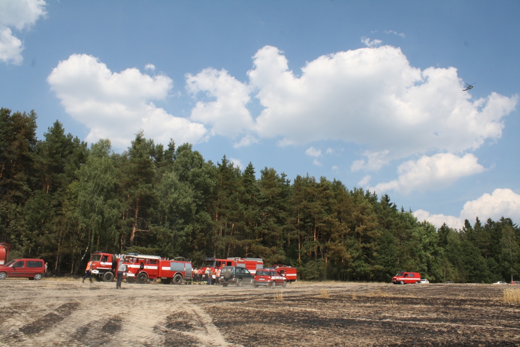 7.8.2015 požár lesa Dobřív.JPG