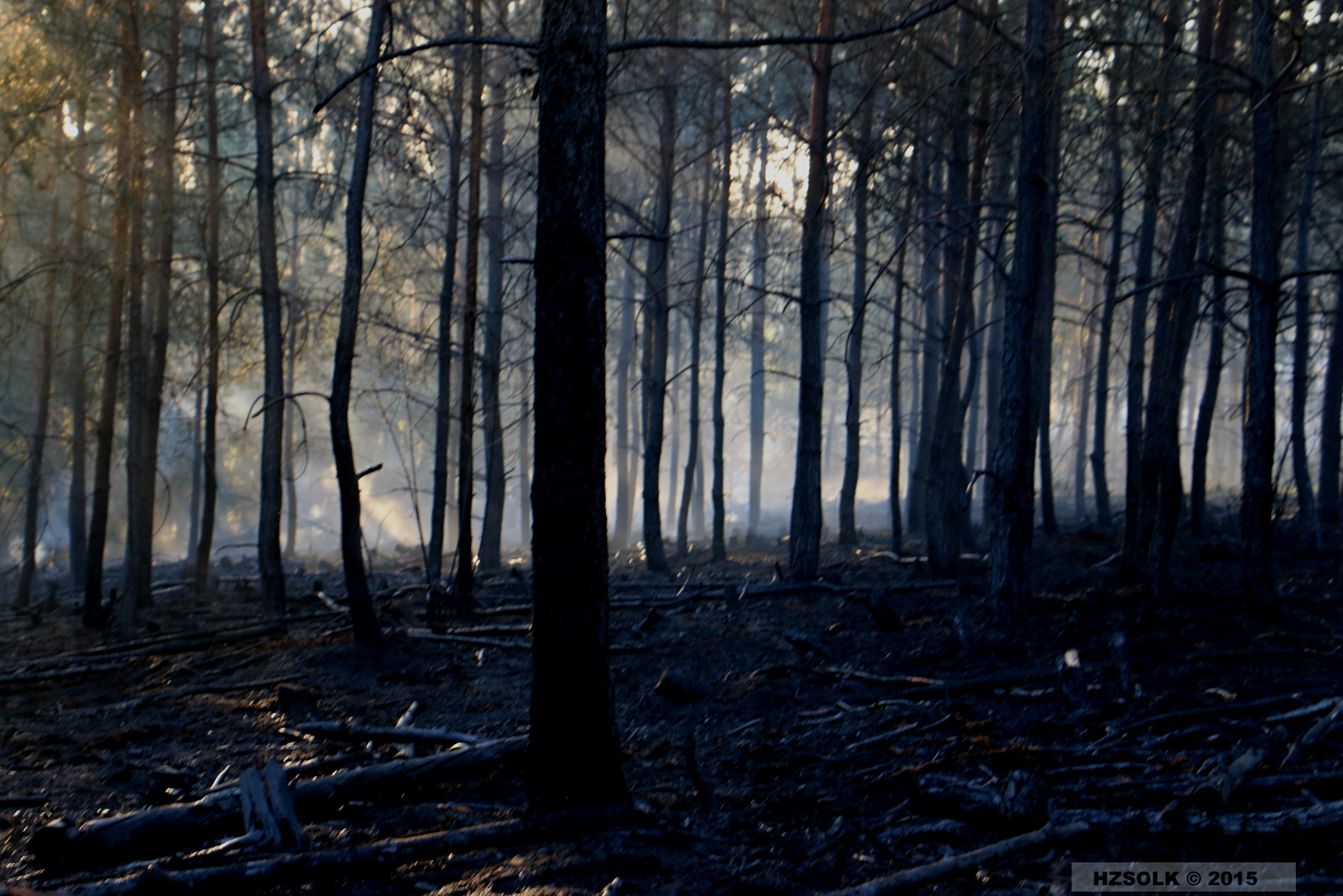 9 21-4-2015 Požár lesa Náměšť na Hané (34).JPG