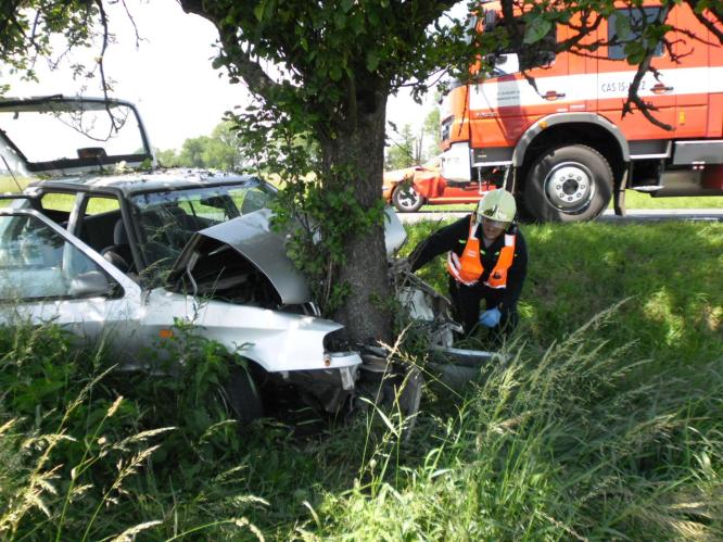 Nehoda v Dašicích si vyžádala zranění řidiče a psa