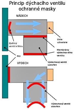 Filtr ochranné masky v řezu-1.jpg