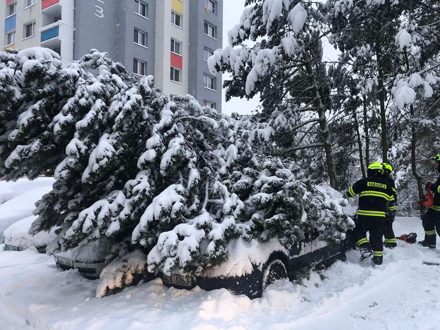 HZS JHČ_hasiči odklízeli spadený strom.jpg