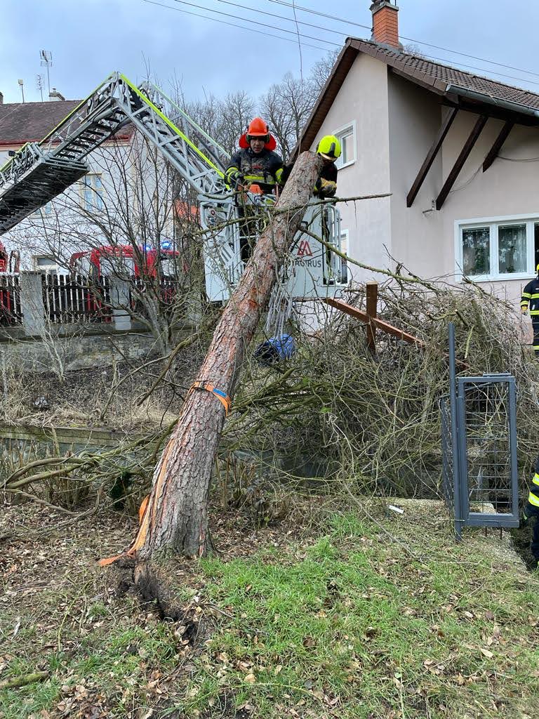 Hasiči ze stanice v Ústí nad Labem odstraňují strom, který spadl na rodinný dům ve Skoroticích.