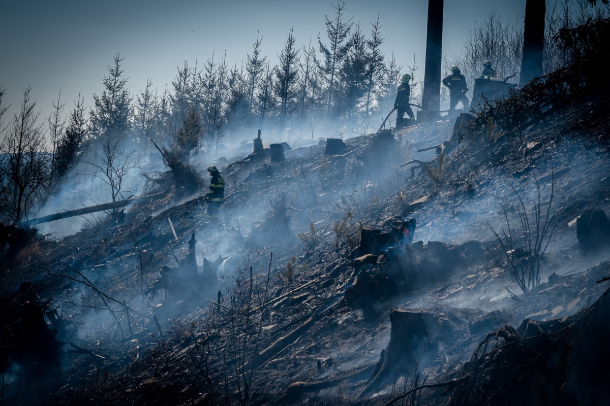 JMK - Požár lesa u Sloupu_zasahující hasiči ve svahu.jpg