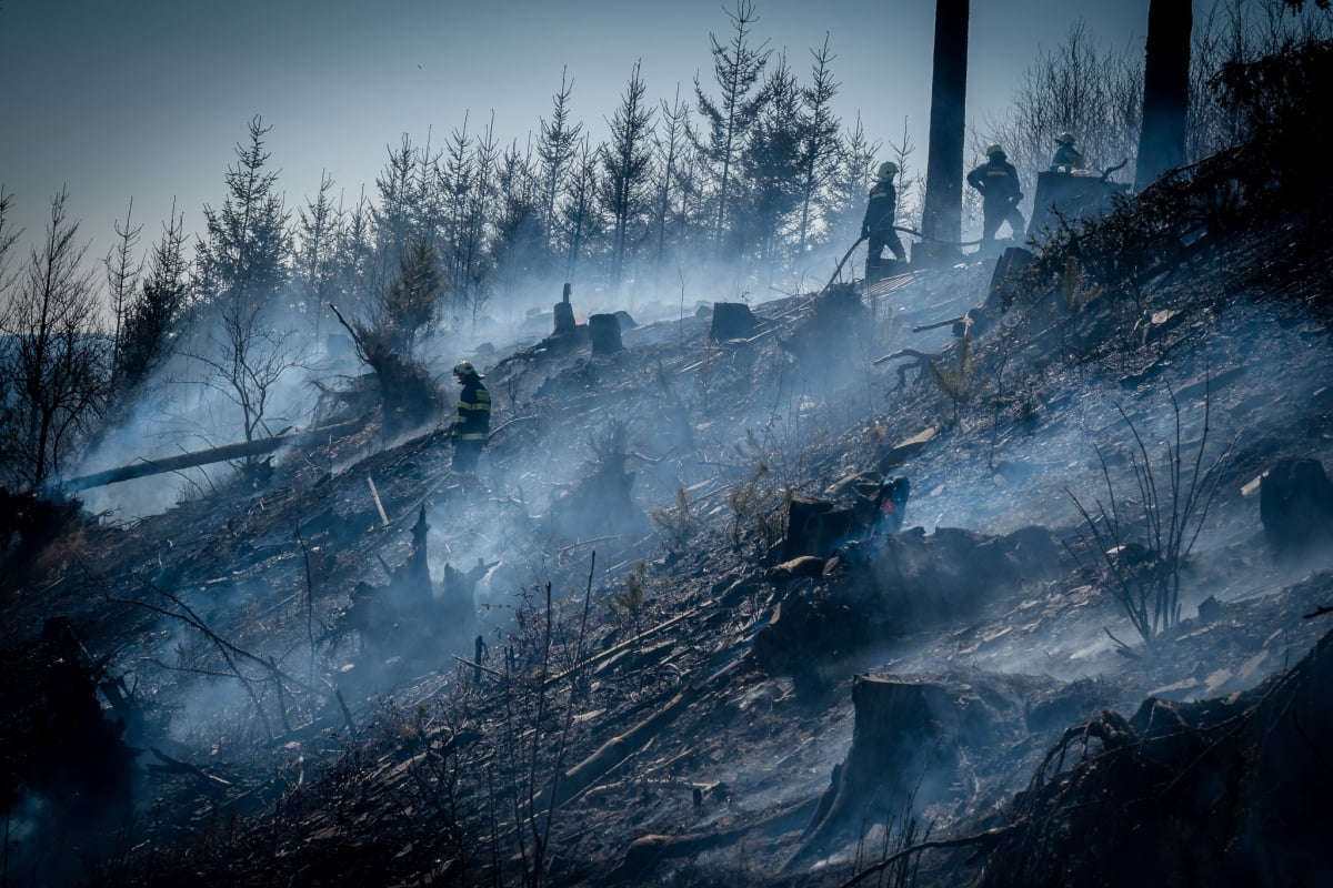 JMK - Požár lesního porostu u Sloupu na Blanensku.jpg