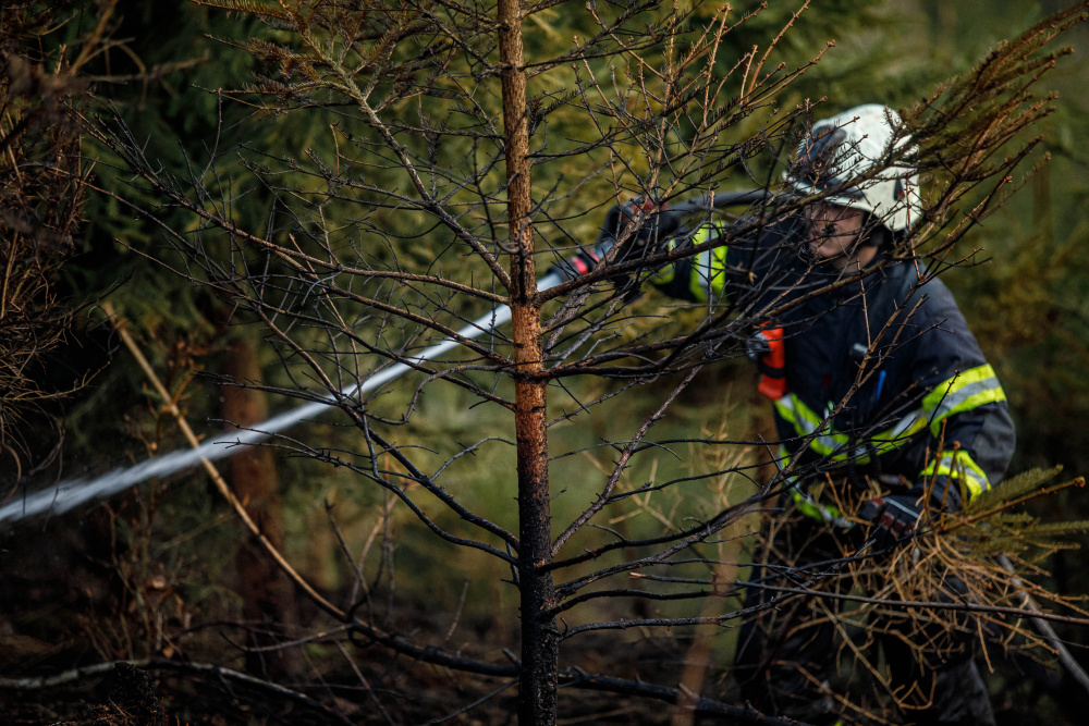 KHK - Požár lesa v obci Náchod_hasič při zásahu.jpg