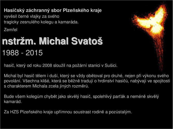 Michal.png