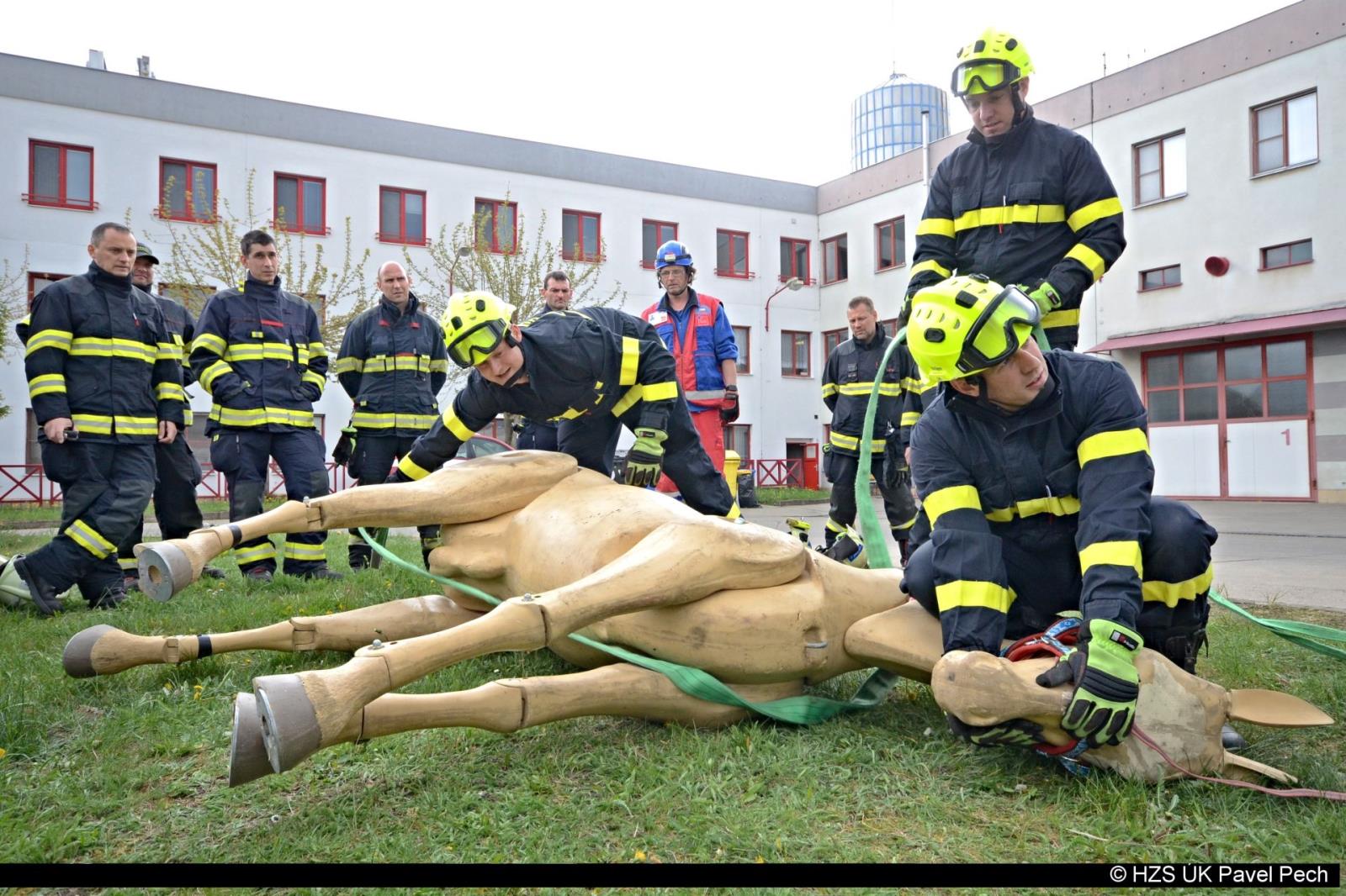 Nácvik záchrany koně 3.jpg