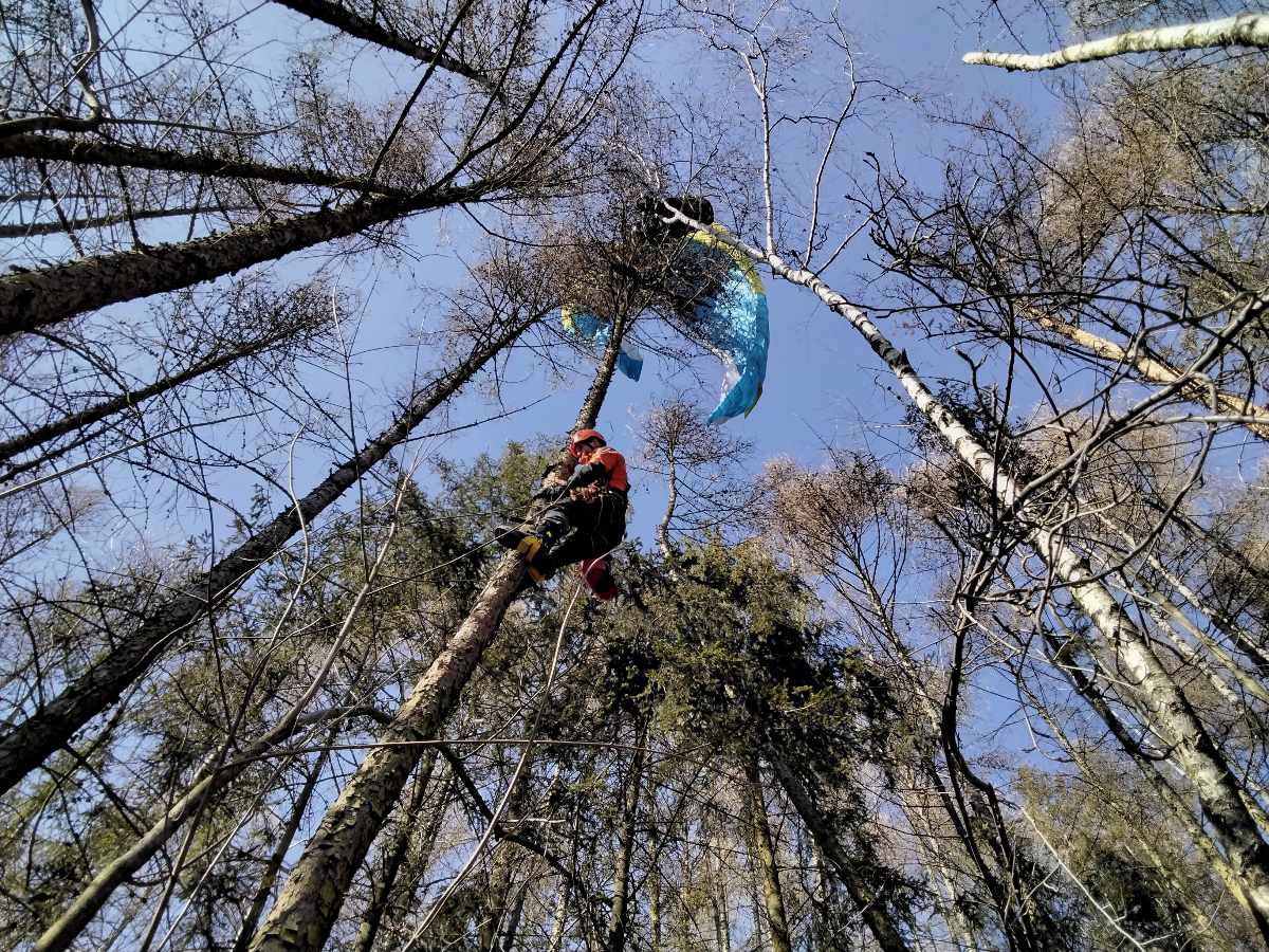OLK_Hasiči-lezci ze stanice Přerov zachraňovali paraglidistu ze stromu.jpg