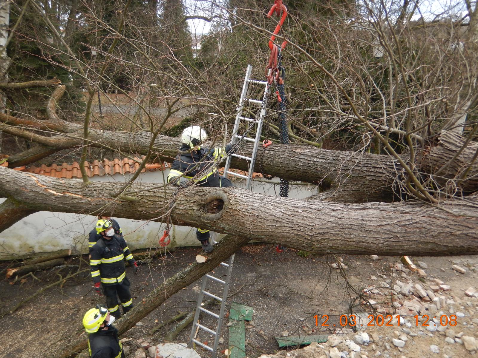 Odklizení spadlého stromu, Tábor - 12. 3. 2021 (4).JPG