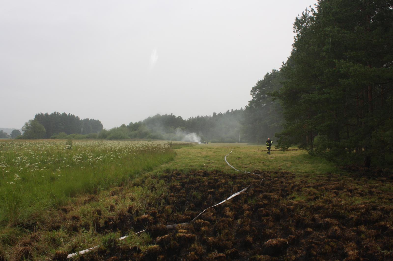Požár lesa, Jílovice - 22. 7. 2017 (6).JPG