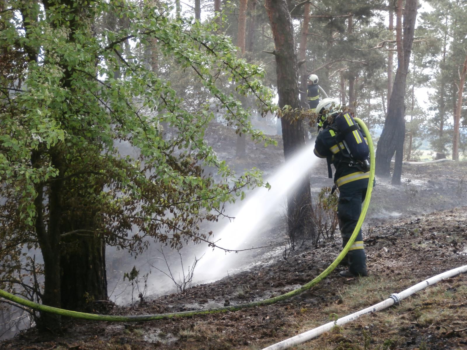 Požár lesa, Ratibořice - 1. 5. 2018 (3).JPG