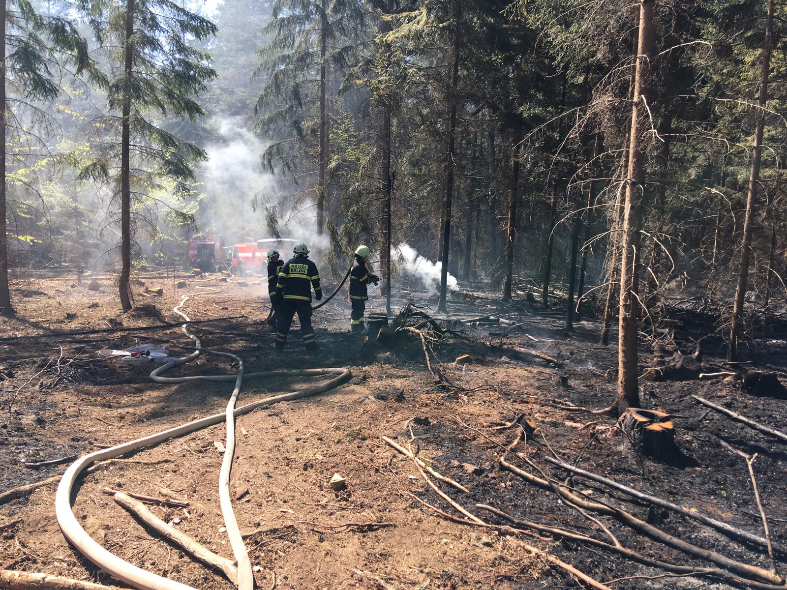 Požár lesa, Smědeč - 21. 4. 2019 (1).jpg