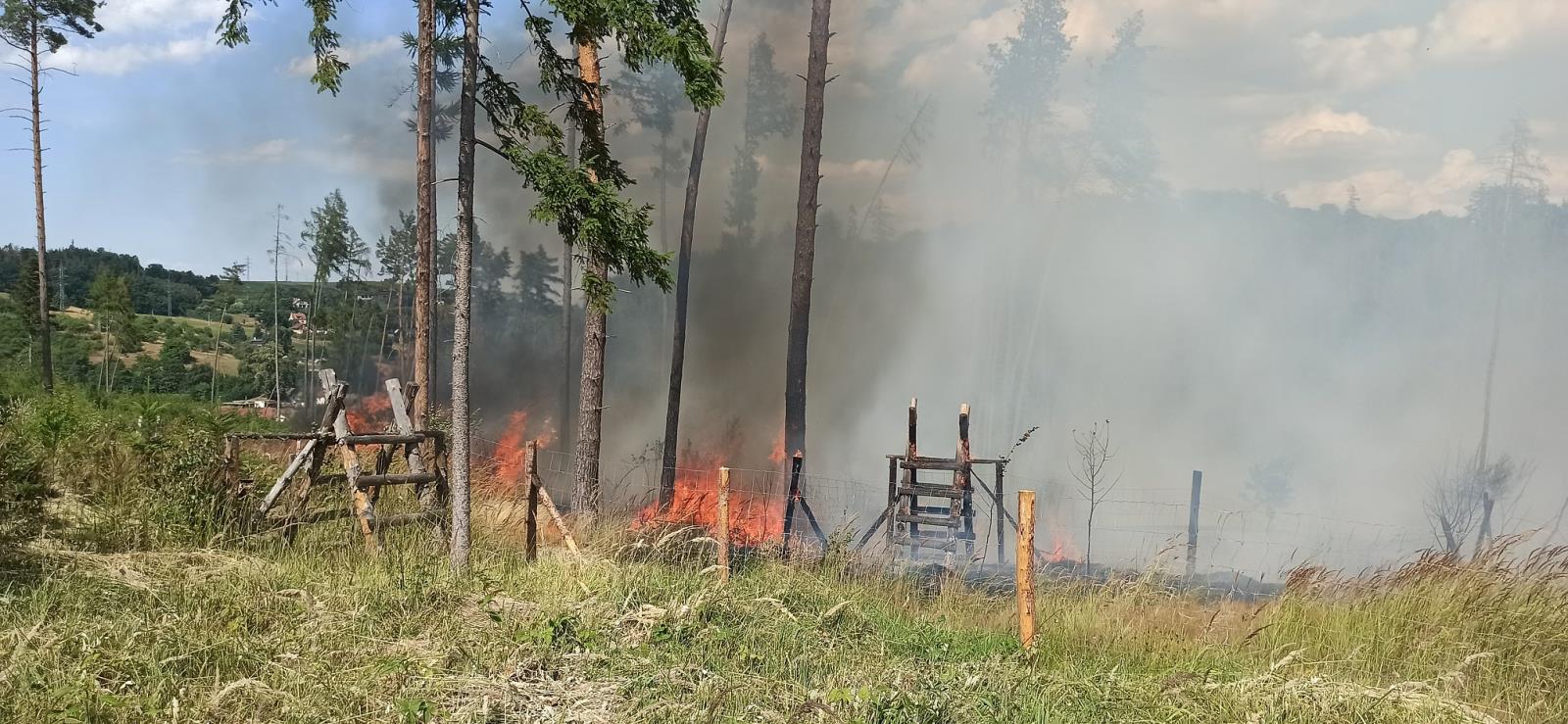 Požár lesa (17).jpg