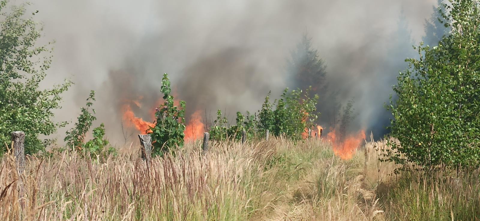 Požár lesa (19).jpg