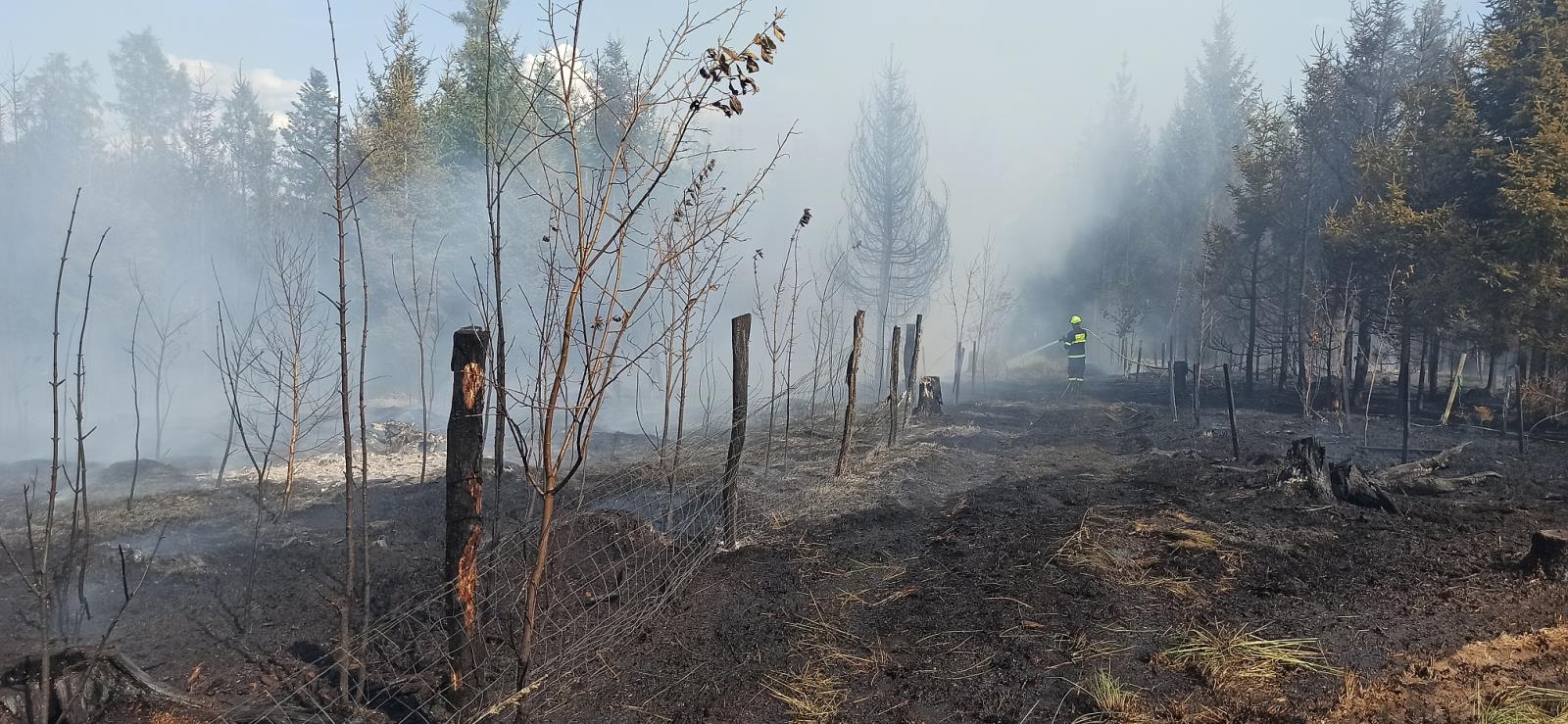 Požár lesa (28).jpg