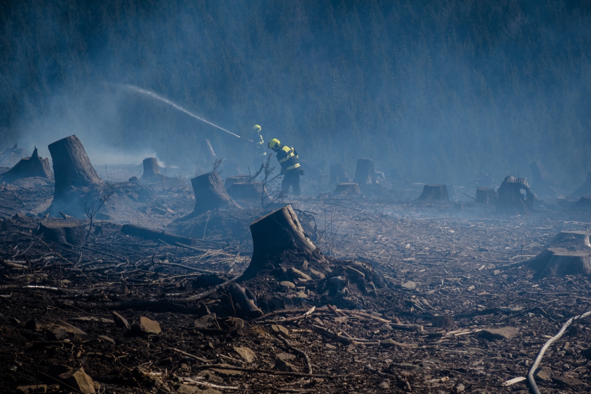 Požár lesa a porostu u Sloupu (17).jpg