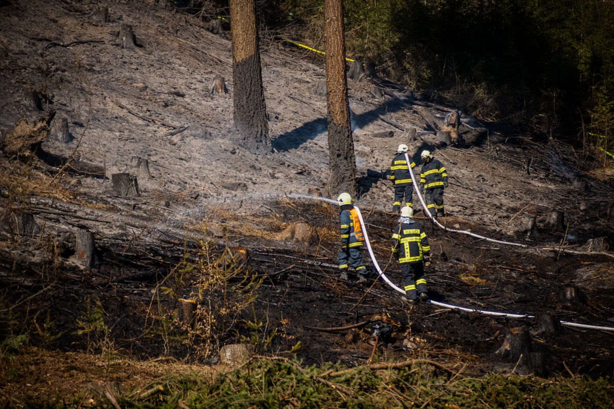 Požár lesa a porostu u Sloupu (2).jpg