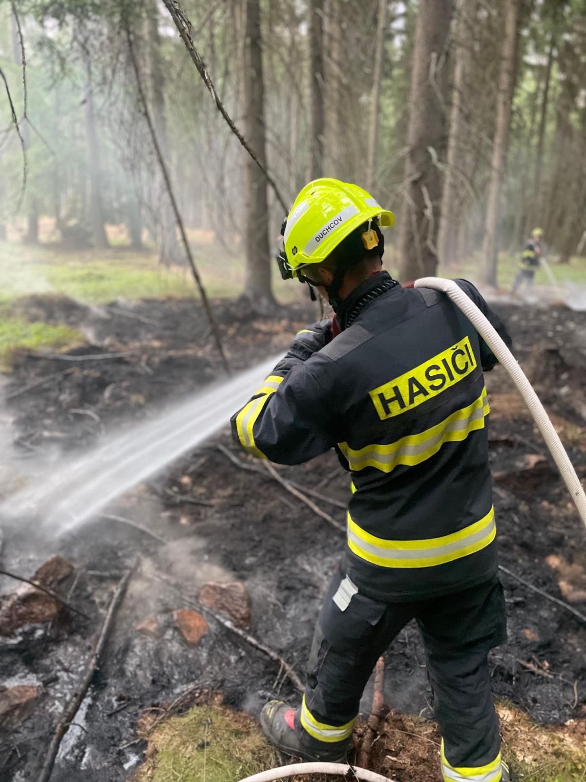 Požár lesního porostu Košťany (4).jpg