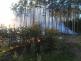 Požár lesního porostu Ralsko, Hradčany