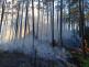 Požár lesního porostu Ralsko, Hradčany