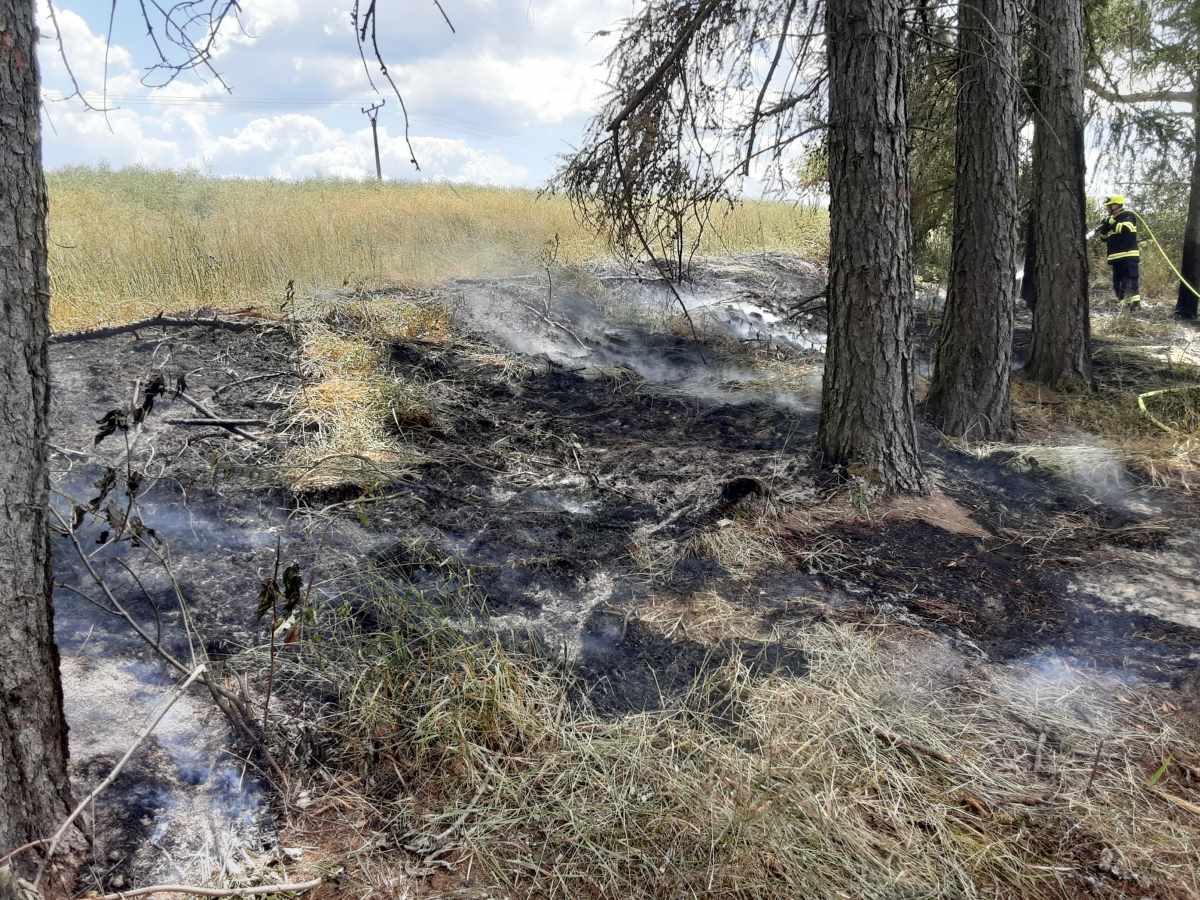 Požár suché trávy a stromů u Salavic na Jihlavsku