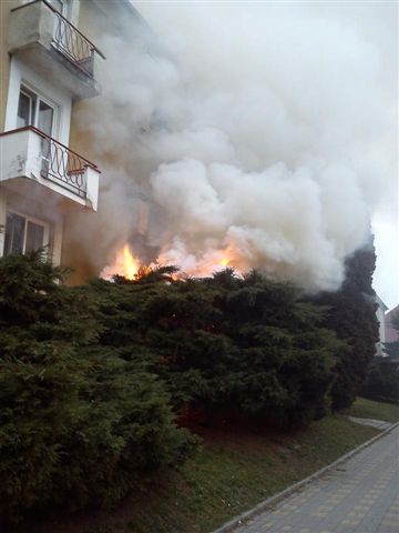 Požár tújí, Jindřichův Hradec - 6. 3. 2014.jpg