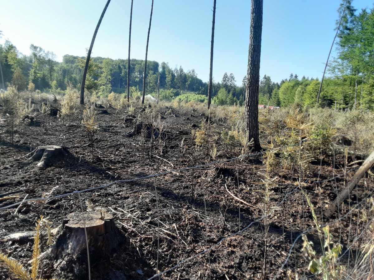 Požár u Vysoké likvidovalo pět jednotek hasičů