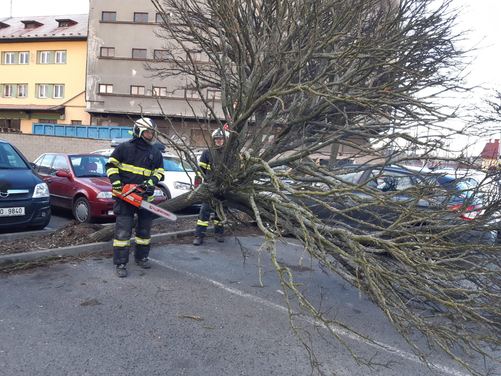 Spadané stromy, Táborsko - 11. 2. 2020 (14).jpg