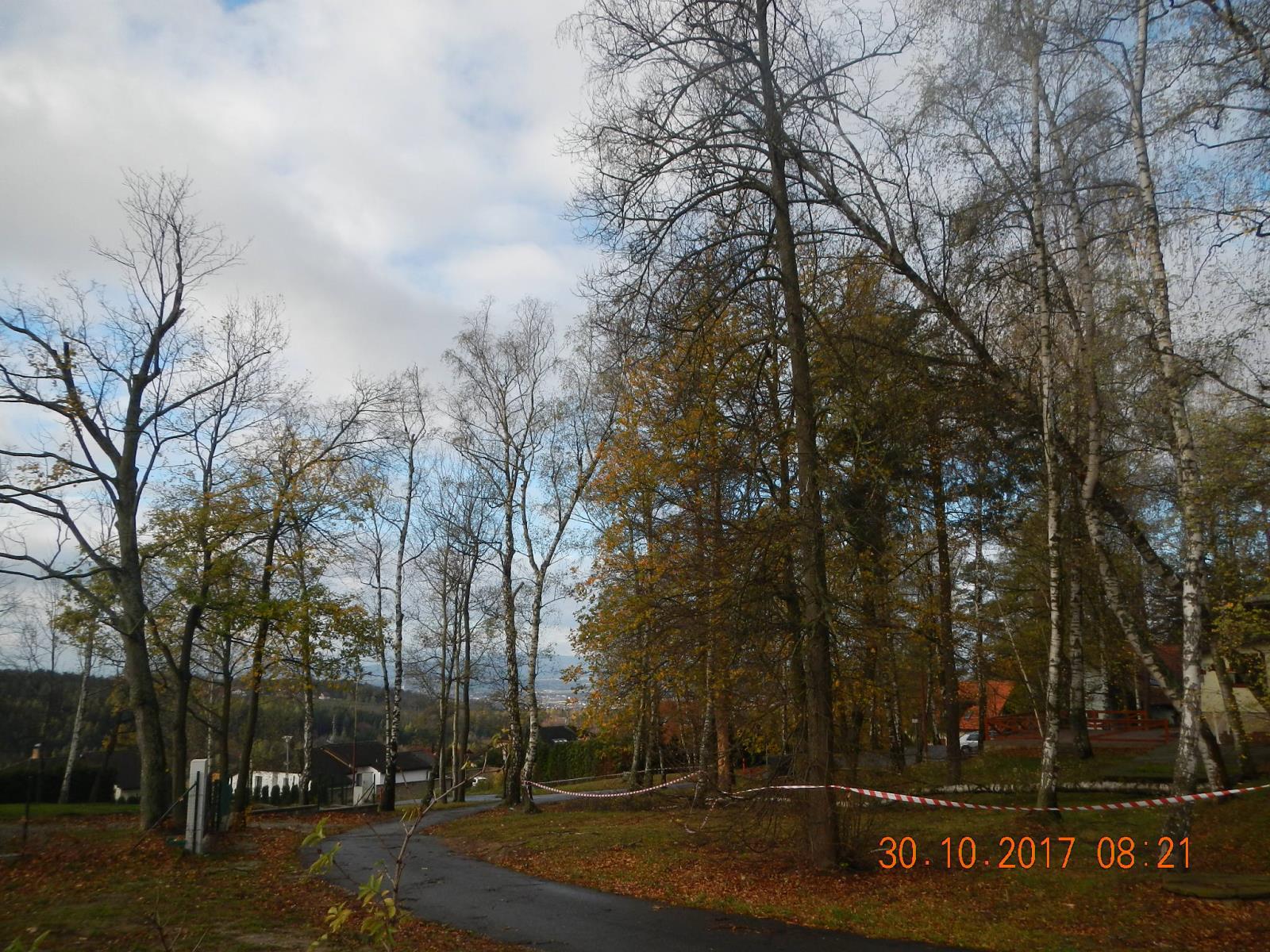 Spadlé stromy, Jivno a České Budějovice - 30. 10. 2017 (4).JPG