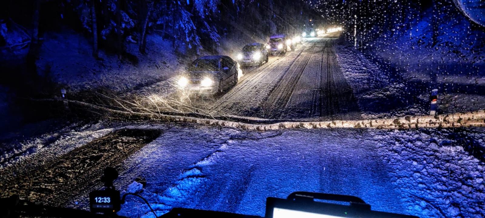 Spadlé stromy, Planá nad Lužnicí - 6. 12. 2022 (5).jpg