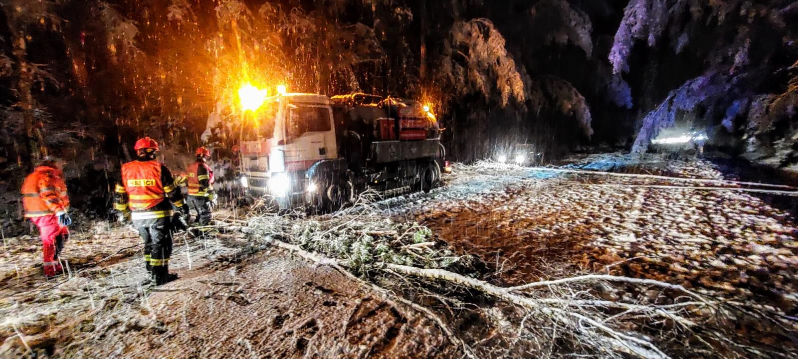 Spadlé stromy, Planá nad Lužnicí - 6. 12. 2022 (6).jpg