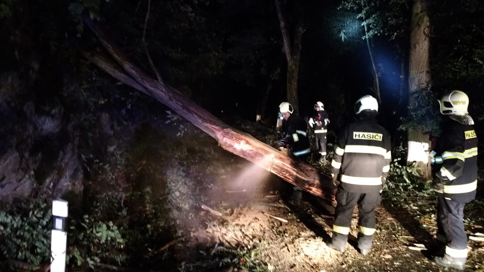 Spadlý strom, Týn nad Vltavou - 23. 9. 2018 (5).jpg