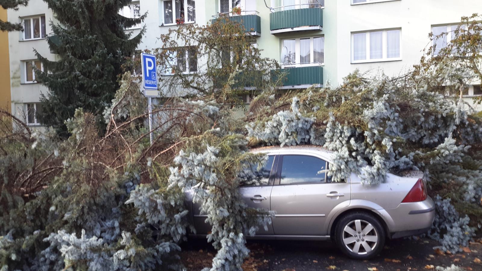 Strom na autě, České Budějovice - 29. 10. 2017 (2).jpg