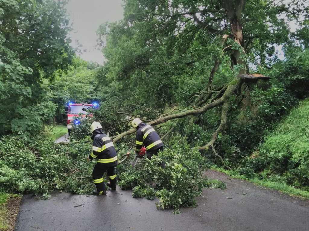 TP strom Červená Třemešná.jpg