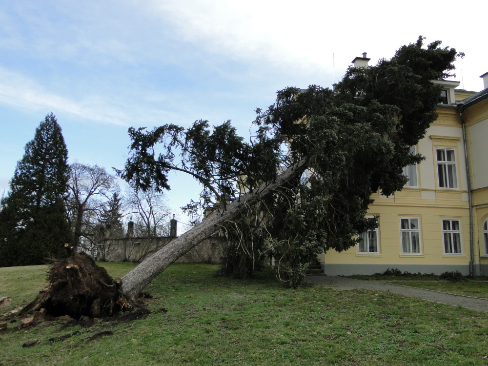 TP Dobřenice.JPG