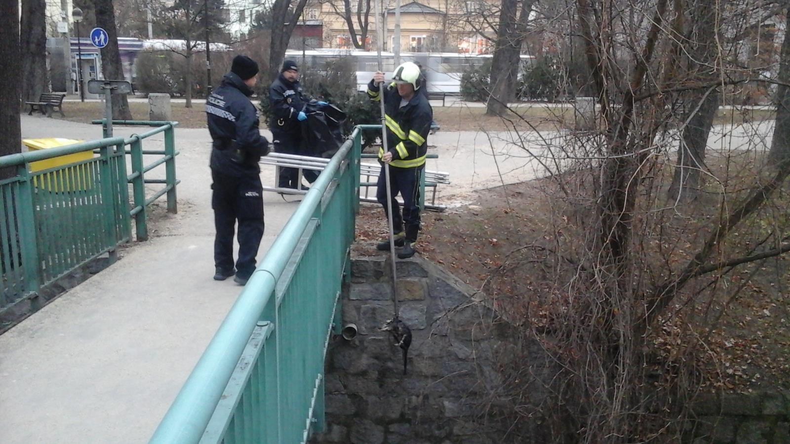 Vytažení kočky, České Budějovice - 9. 2. 2017 (2).jpg