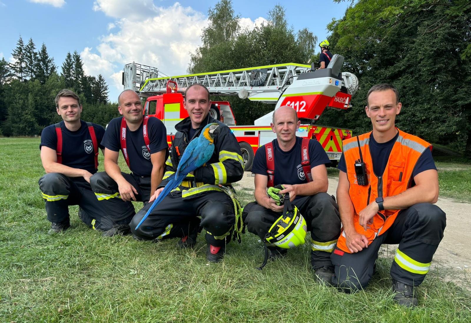 Vzácného papouška aru v hodnotě přibližně 50 tisíc korun pomohli zachránit profesionální hasiči z Tanvaldu