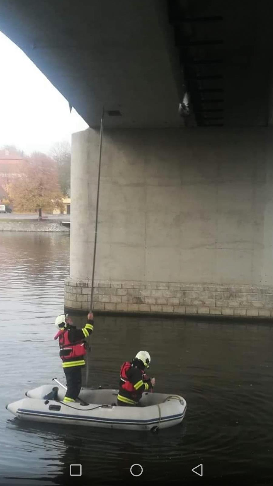 Záchrana holuba, Týn nad Vltavou - 29. 10. 2018 (1).jpg