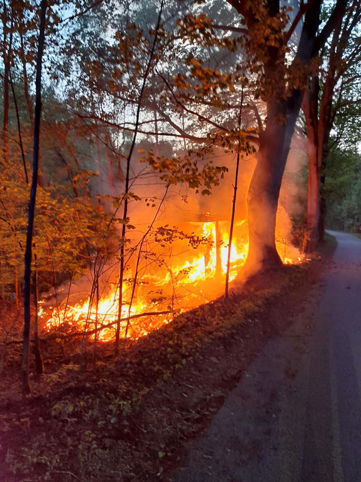 Zásah P buňky Liberec