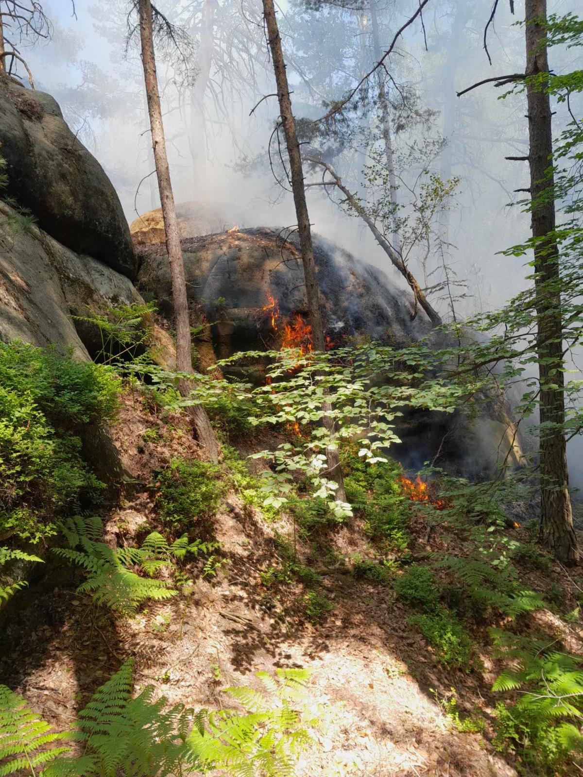 Zásah u požáru lesního porostu Frýdštejn
