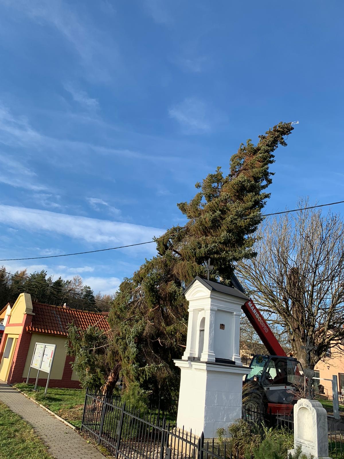 nakloněný vánoční stroma Klešice5-12-2020.jpg