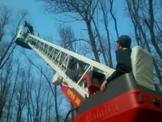 K záchraně zvířat ze stromů a střech často hasiči musí použít výškovou techniku