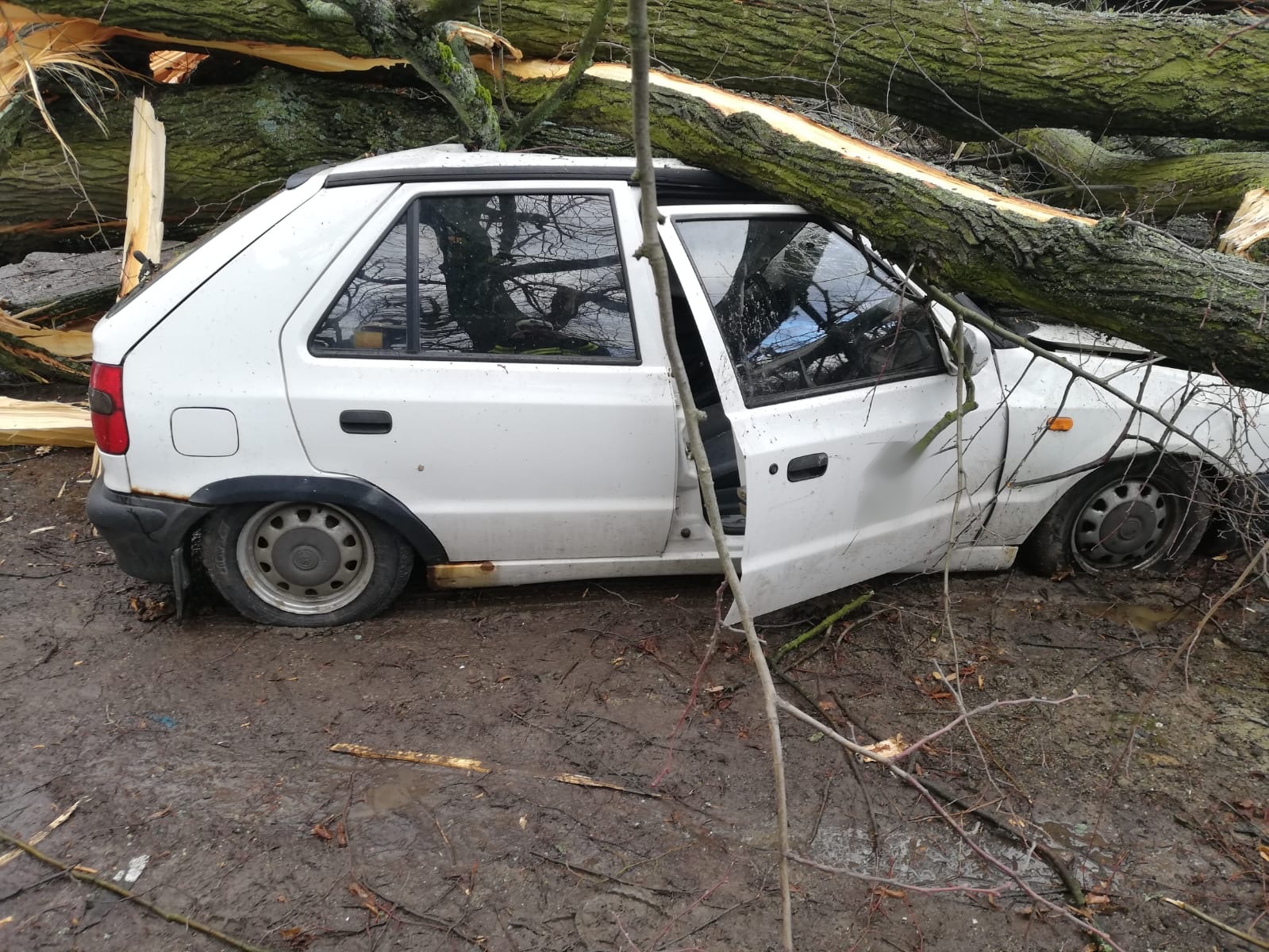 pád stromu na OA - Jevišovice