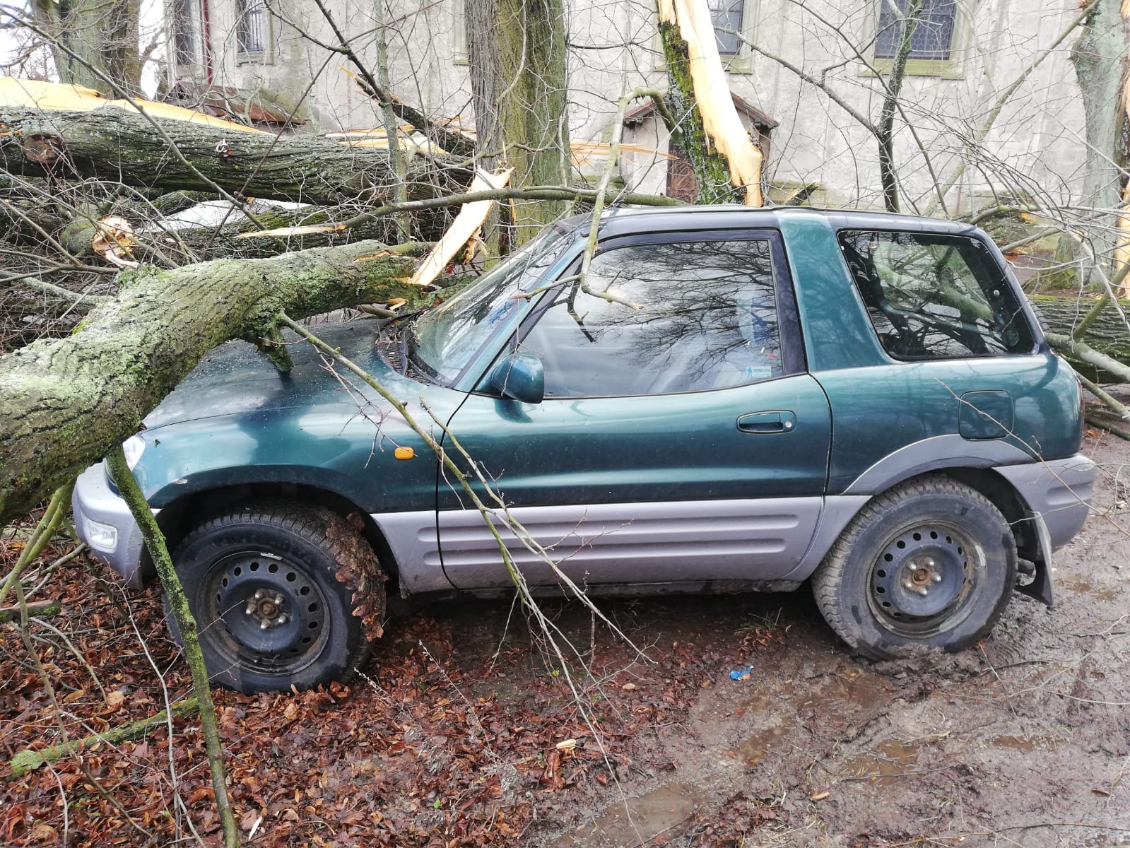 pád stromu na OA - Jevišovice