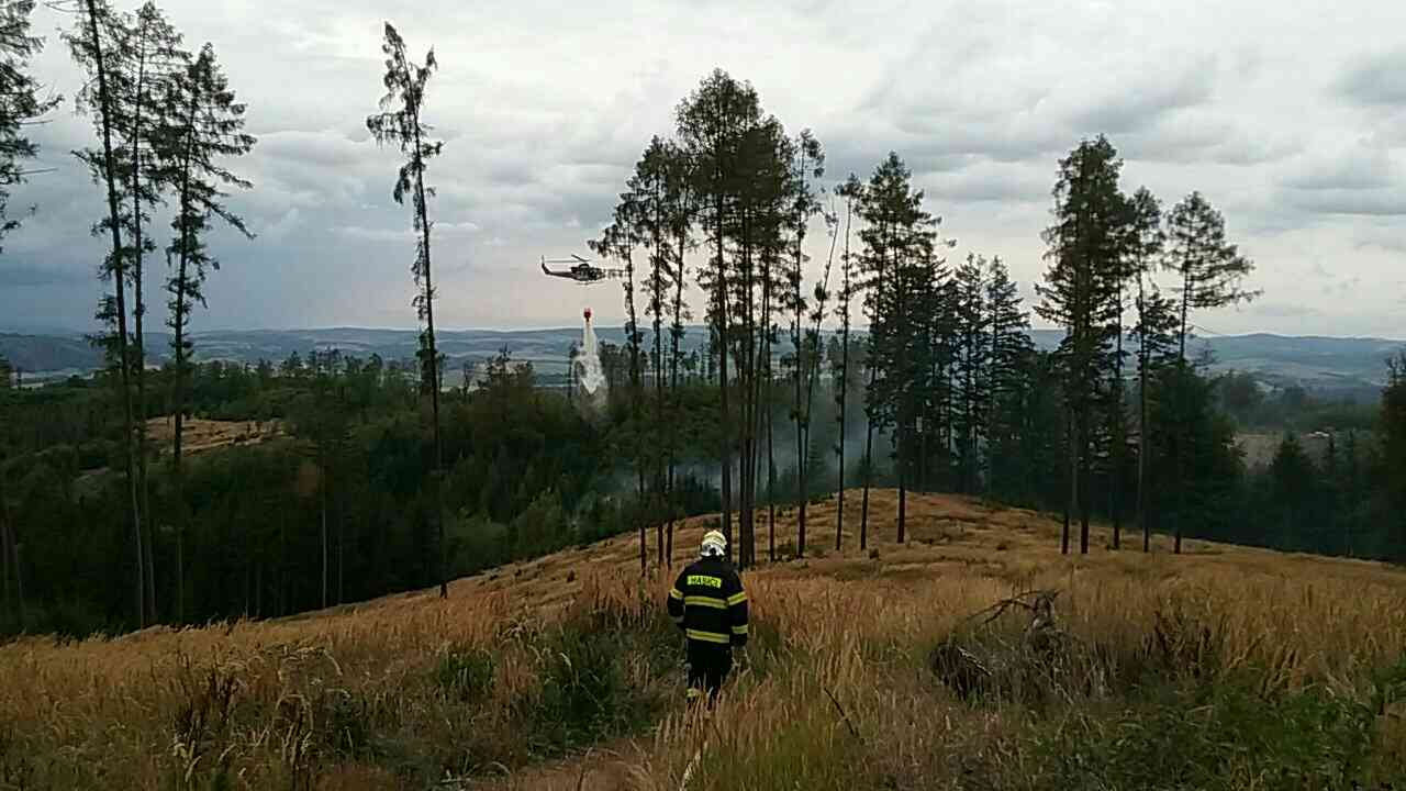 požár lesa (1).jpg